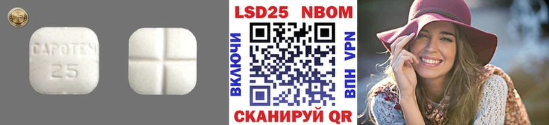ссылка на мегу вход  Эртиль  Лсд 25 экстази кислота 